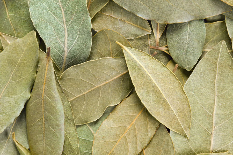 Burn a Bay Leaf For Its Instant Calming Effect