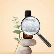 Load image into Gallery viewer, H-Psoriasis Formula