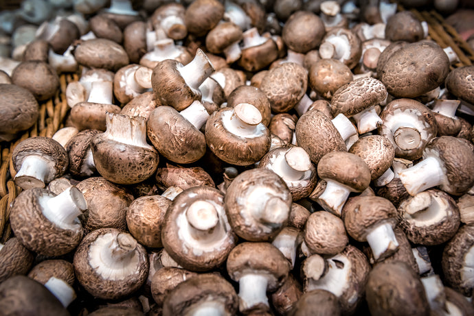 Can Mushrooms Provide You With Vitamin D?