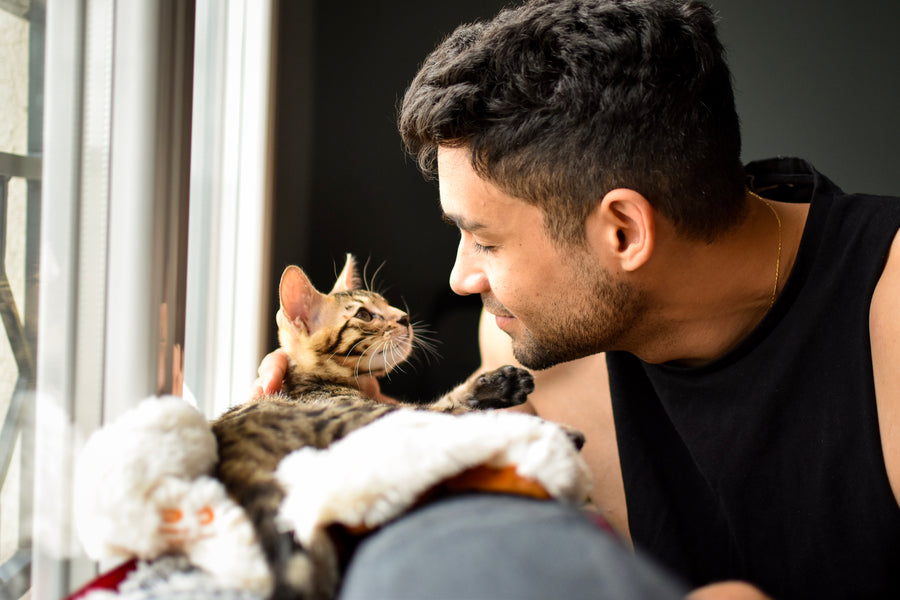 Top Tips to Help you Become a Cat Whisperer!