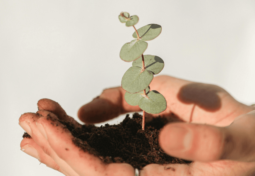 Sustainability Made Simple