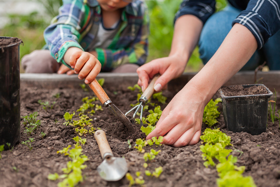 Gardening is the Perfect Natural Remedy for Anxiety and Much More