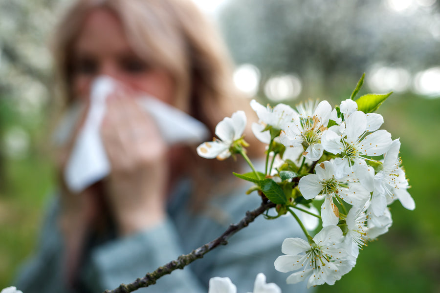 Allergy Season may be Getting Longer