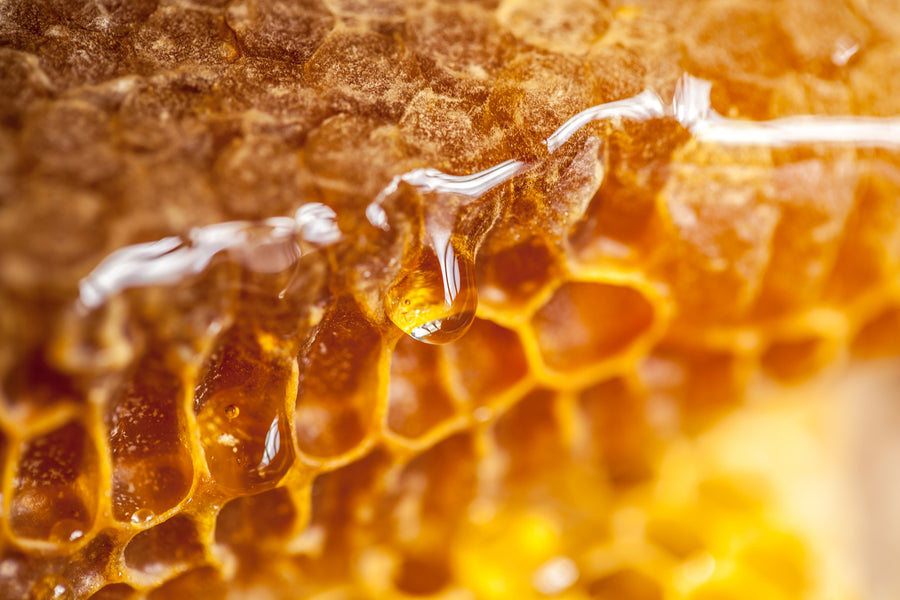 Could Raw Honey be the Queen of the Superfoods?