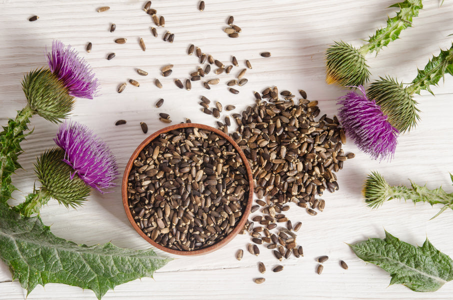 Could Milk Thistle Work its Magic for You?