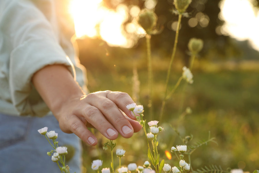 Everyone Needs To Get Outdoors For Their Mental Health & Wellbeing