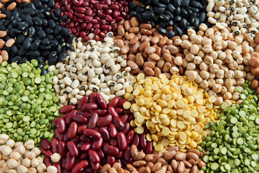 Are You Including Pulses in your Diet?