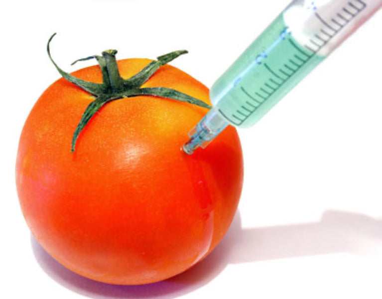 Genetically Modified Foods & Why They Can be Harmful
