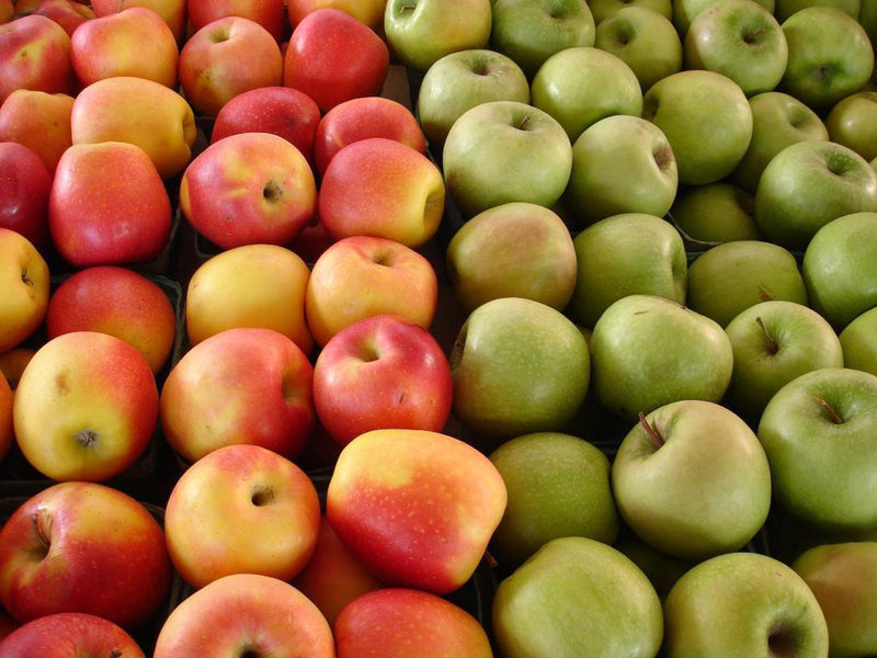 Apple Seeds & Are They A Potion Or A Poison?