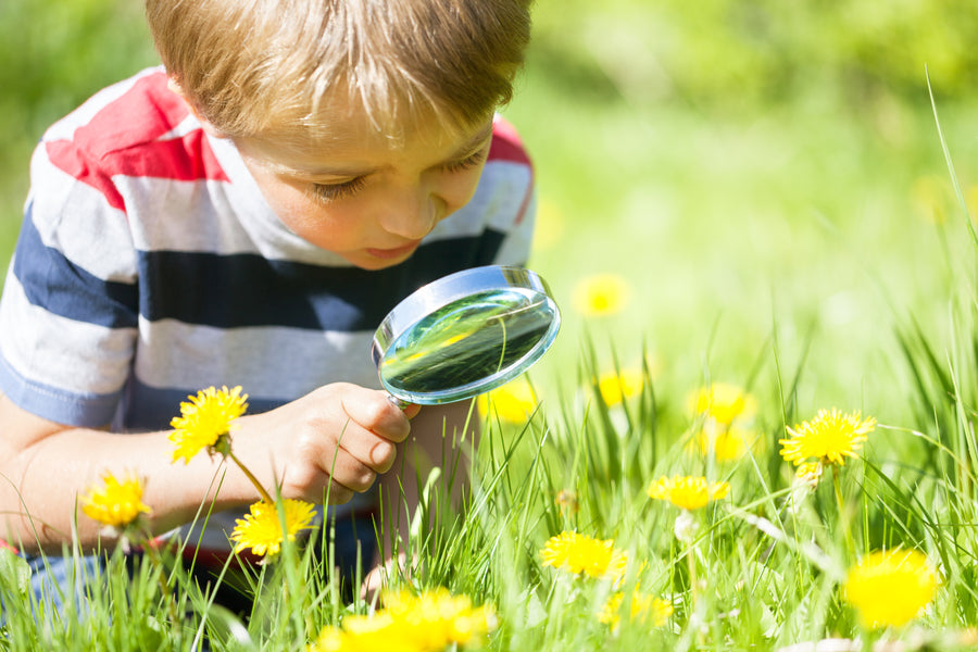 10 Special Guidelines for Parents