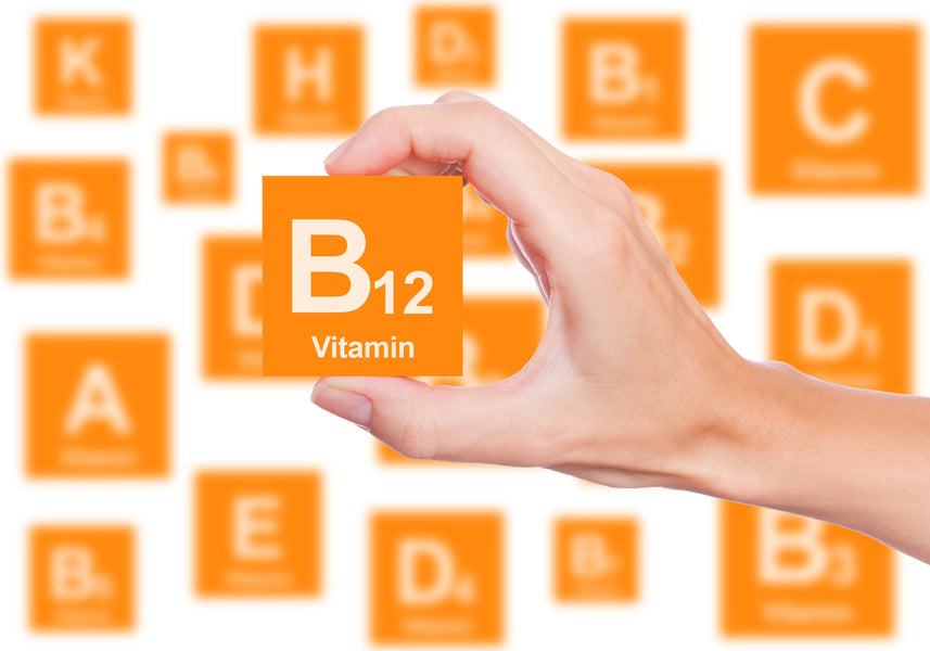 Vitamin B12 & Why Do We Need It?