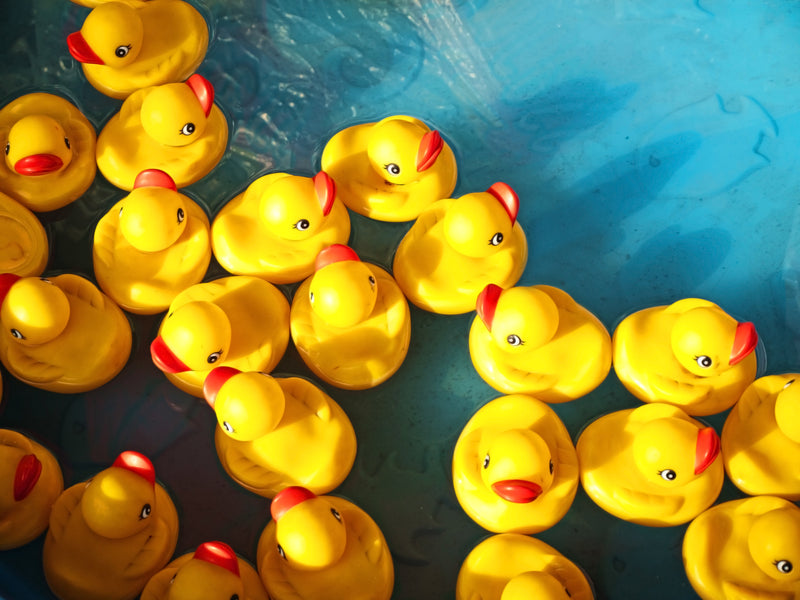 That Ducky Could Be Yucky