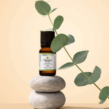 Load image into Gallery viewer, H-Eczema Formula
