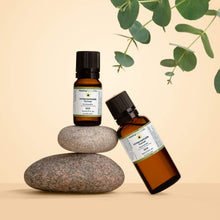 Load image into Gallery viewer, H-Hemorrhoids Formula
