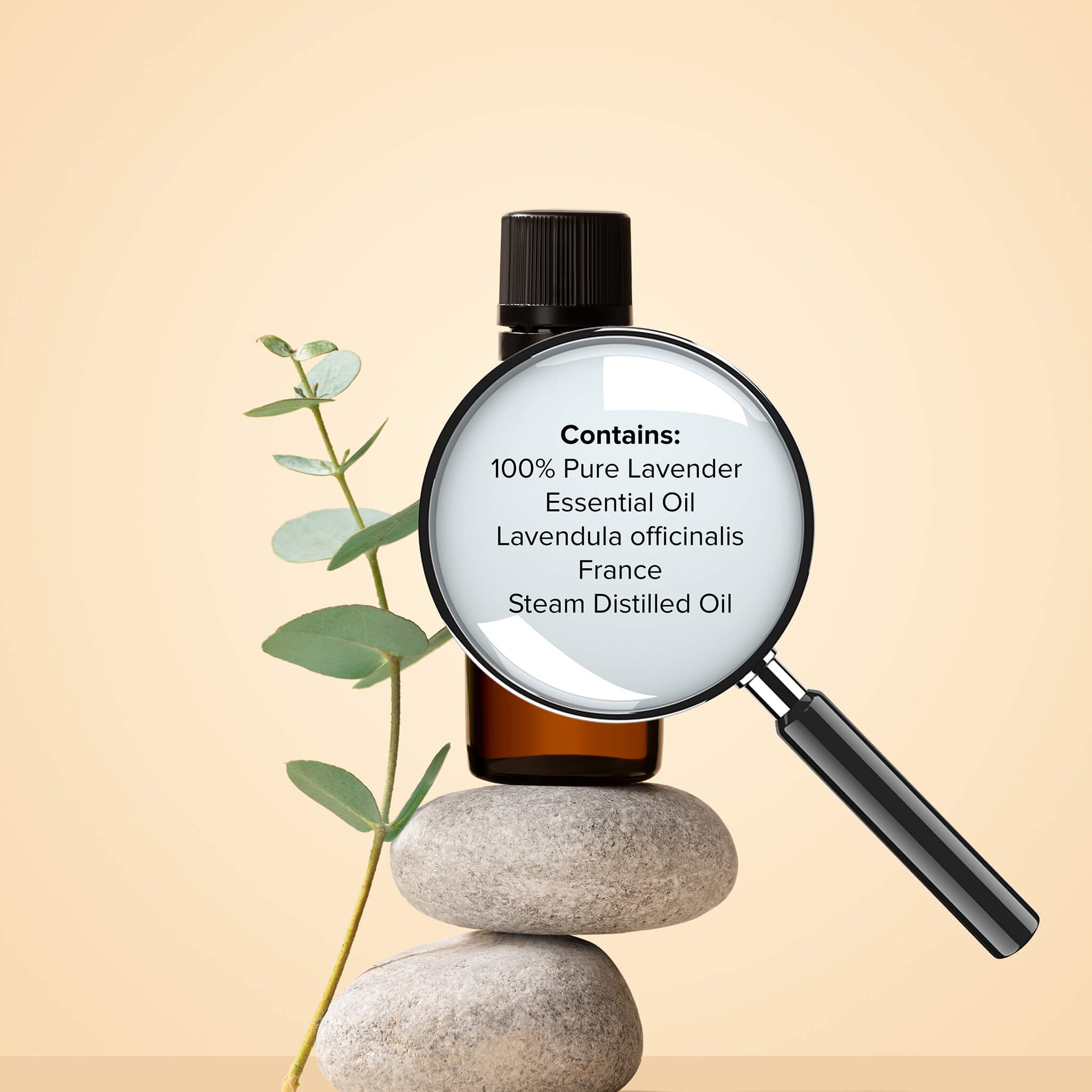 Lavender Oil