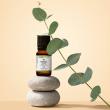 Load image into Gallery viewer, H-Scars Formula
