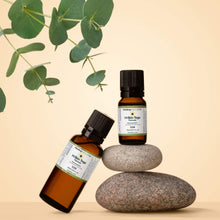 Load image into Gallery viewer, H-Skin Tags Formula
