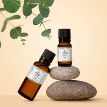 Load image into Gallery viewer, H-Scars Formula
